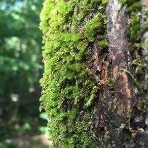 Meet your Posher, Meleah